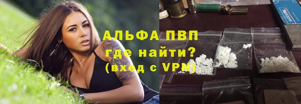 спиды Ладушкин