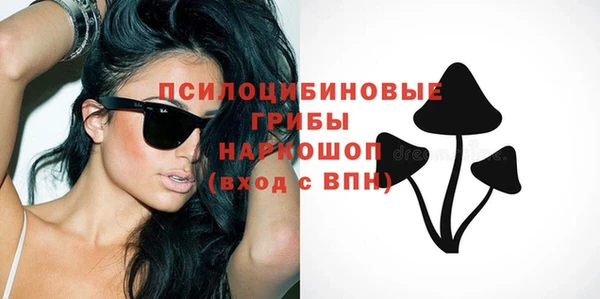 спиды Ладушкин