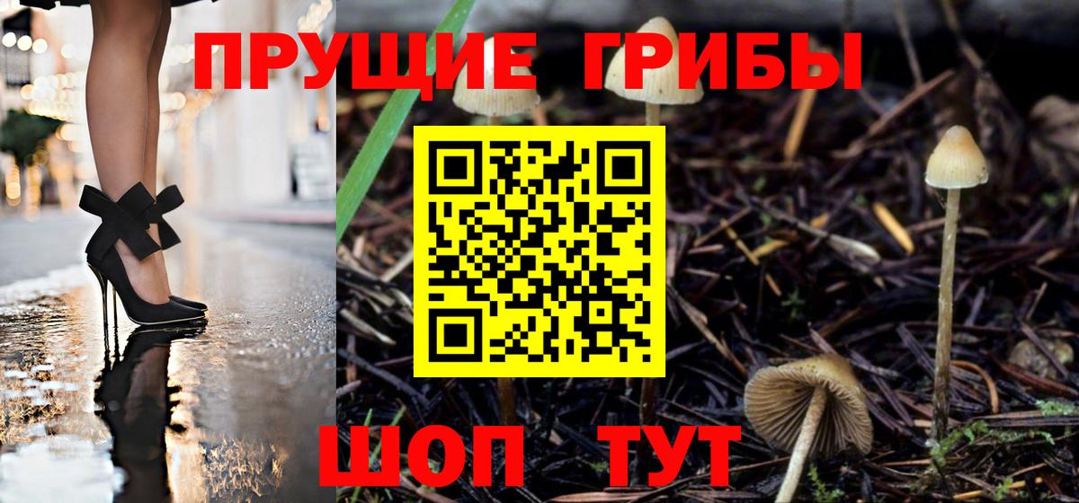 Псилоцибиновые грибы MAGIC MUSHROOMS Симферополь