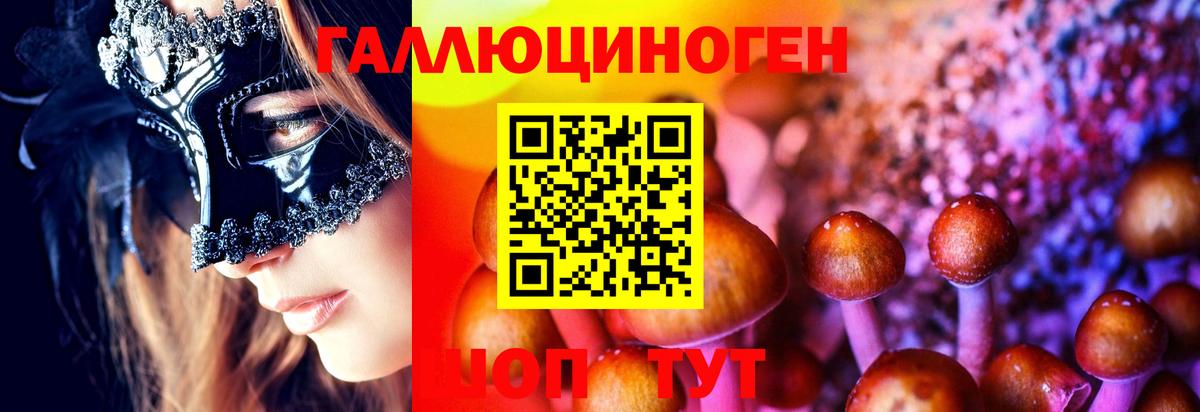 Псилоцибиновые грибы MAGIC MUSHROOMS  Симферополь 