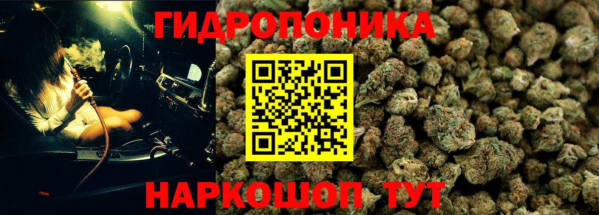 Бошки марихуана конопля  Бошки Шишки план  Вход с VPN  Шишки марихуана MAZAR  МАРИХУАНА тримм  Симферополь 